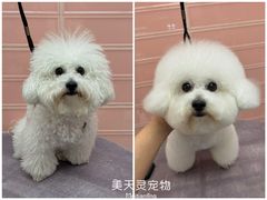 -FAELING PETS美天灵宠物(合生汇店)