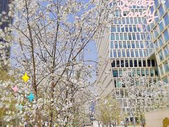 -THE PAWON·8碗(古北SOHO店)