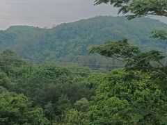 -南宁良凤江国家森林公园