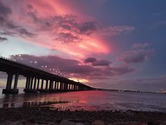 -宝安西湾红树林湿地公园