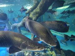 -多彩贵州城极地海洋世界