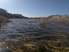 -沈阳辉山风景区