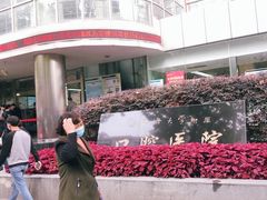 -同济大学附属口腔医院