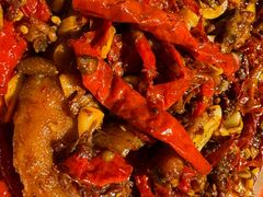 -柴窝堡22号辣子鸡·传承新疆菜