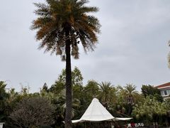 -厦门日月谷温泉渡假村