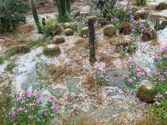 -松山湖梦幻百花洲