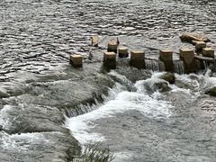 -高荡千年布依古寨旅游景区