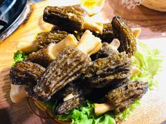 羊肚菌-菌海森林野生菌火锅(摩根道店)