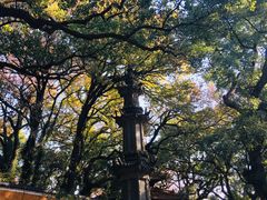 -普陀山风景名胜区-法雨禅寺