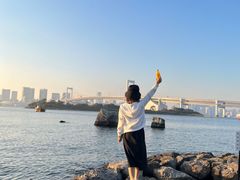 -台场海滨公园船码头