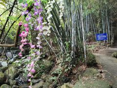 -亚婆田·白水寨生态旅游度假区