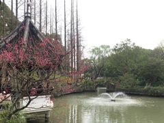 -上海醉白池公园