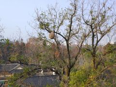 -东水关遗址公园
