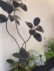 -海涛医疗美容·面部抗衰·注射美鼻