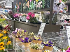 -鹿岛生活(熙地港店)