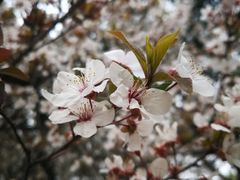 -昆山城市生态森林公园