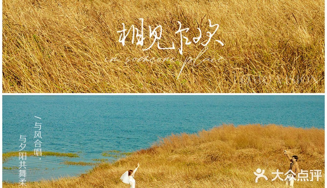 每一帧都心动的森系婚纱照🍃清新浪漫美哭了