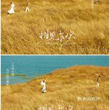 每一帧都心动的森系婚纱照🍃清新浪漫美哭了