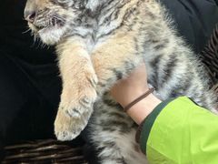 -常州淹城野生动物世界