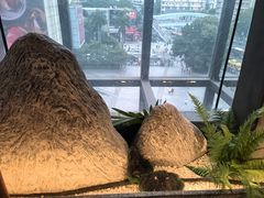 -晓粤·惹味粤菜(凯德乐峰广场店)