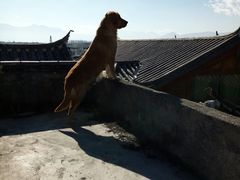 -浔岚云舍mist静谧观景美宿(丽江古城店)