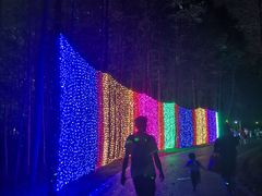 -昆山城市生态森林公园