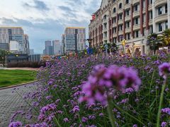 -诚毅广场(地铁站)