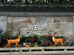 -上海佘山国家森林公园西佘山园