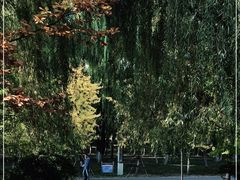 -长白岛森林公园