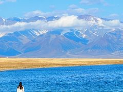 -赛里木湖风景名胜区