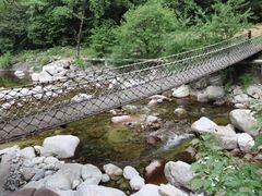 -陕西省红河谷森林公园