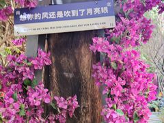 -月亮眼花园餐厅书吧酒吧