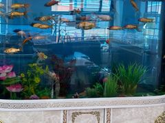 -云镜眼镜加工中心(南环路店)