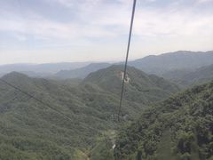 -栾川竹海野生动物园
