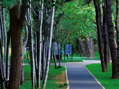 -国家植物园南园