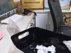 -瑞派宠物医院·24h·骨外科·皮肤科·全科宠物医疗转诊中心(沈阳浑南院)