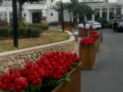 -月亮河温泉度假酒店