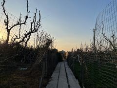 -树山生态村