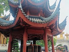 -上海东林寺(金山区)