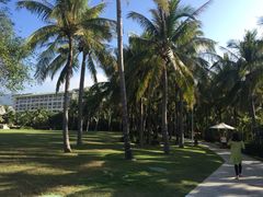 亚龙湾红树林度假酒店-三亚亚龙湾红树林度假酒店