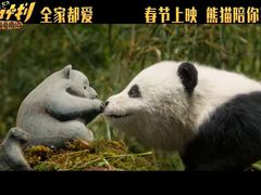 -星辰9号幻影会