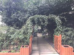 -谷咖啡·鲜花绿植花园餐厅