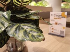 -皇城恒隆广场