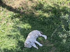 -石家庄市动物园