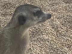 -海合安武汉极地海洋公园