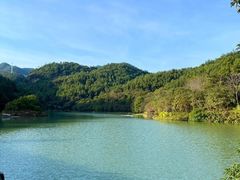 -广州白江湖森林公园