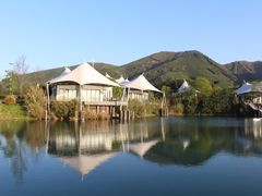 -帐篷客·溪龙茶谷度假酒店