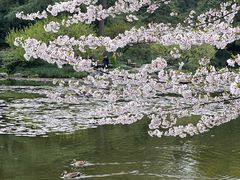 -杭州植物园
