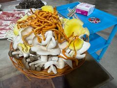 -仙蘑洞