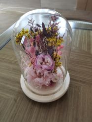 -英芬国际月子中心(岛屿度假月子·洲至奢选香岚店)